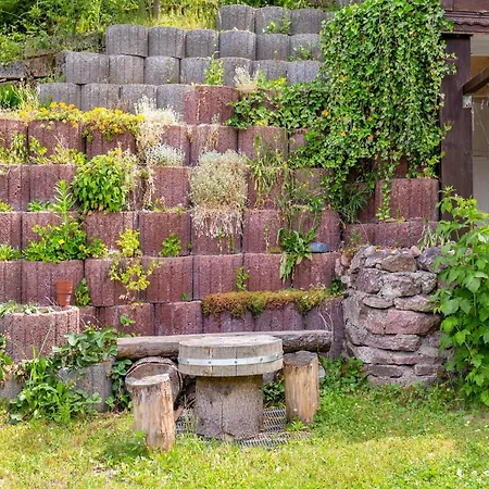 Cosy In With Balcony And Swimming Pool Dresden